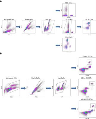 Circulating osteogenic progenitors and osteoclast precursors are associated with long-term glycemic control, sex steroids, and visceral adipose tissue in men with type 2 diabetes mellitus